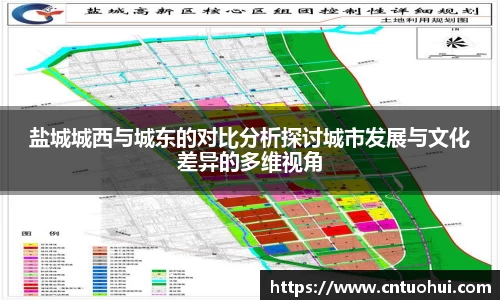 盐城城西与城东的对比分析探讨城市发展与文化差异的多维视角